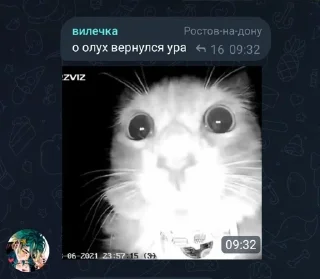 😱 emoji Будни во флуд Telegram sticker 23 of 57