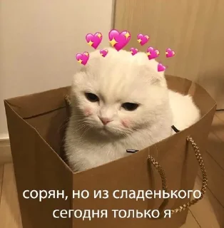 🤭 emoji Анастэйша 🥰 Telegram sticker 17 of 23