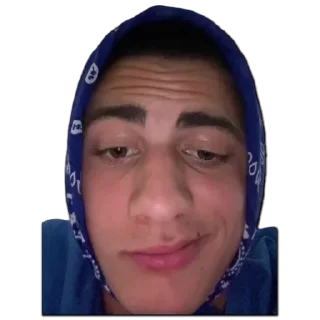 😌 emoji ЖОРИК ФЛЕКС Telegram sticker 21 of 35