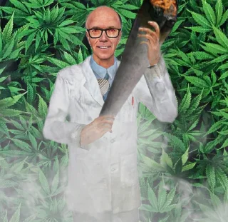 🌿 emoji Weed Cult Telegram sticker 18 of 68