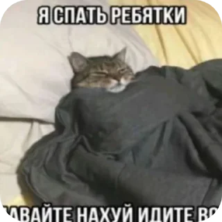 🚗 emoji Страшные еблища Telegram sticker 15 of 48