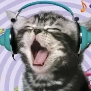 😴 emoji Котики емае Telegram sticker 20 of 118