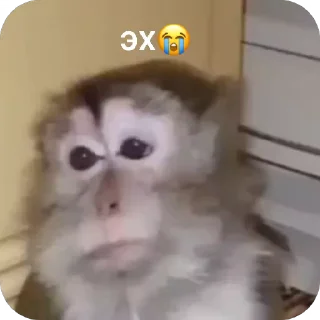 😢 emoji БИБИЗЯНКИ💗 Telegram sticker 23 of 54