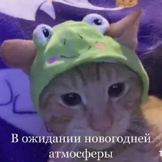🙂 emoji Челіки і котики - @aris_stickers Telegram sticker 15 of 36