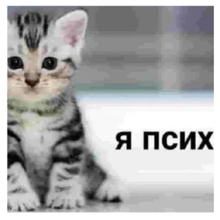 ♿ emoji Педики Telegram sticker 2 of 18
