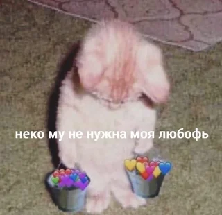 😳 emoji Чтоб не втыкали Telegram sticker 16 of 120