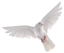 🏐 emoji BIRD Telegram sticker 11 of 15