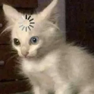 🤨 emoji Котеки Telegram sticker 15 of 43