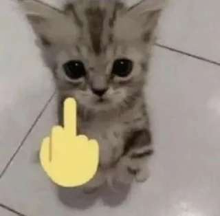🖕 emoji Котеки Telegram sticker 19 of 43