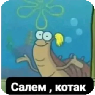 👍 emoji Аки🦦 Telegram sticker 16 of 45