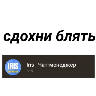 🤷‍♀️ emoji Ирис Telegram sticker 9 of 11