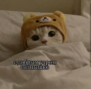 🥰 emoji милые пикчи для тебя Telegram sticker 18 of 120