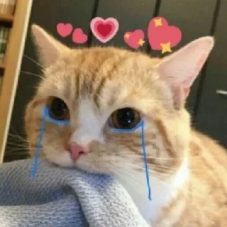 🌟 emoji Kexario Telegram sticker 16 of 115