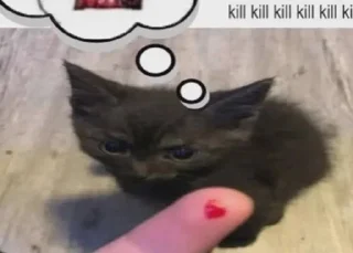 🤬 emoji котики123 Telegram sticker 4 of 61