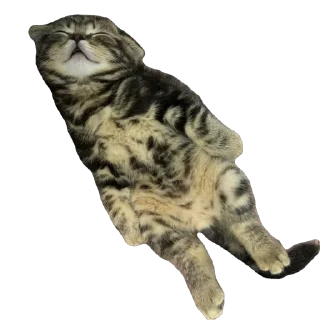 😴 emoji Катапультік Telegram sticker 13 of 46