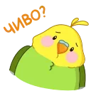 Sticker from Зелёный Птенчик (@TgSticker)