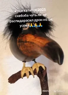 🌟 emoji Скебоб ; @Ronaloda5494 Telegram sticker 10 of 76