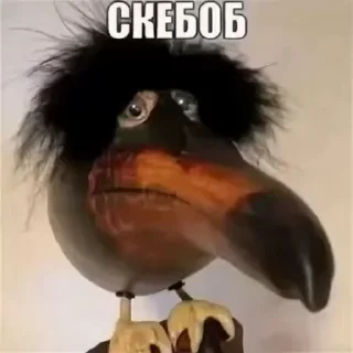 Sticker from СКЕБОБ СТИКЕРЫ 1