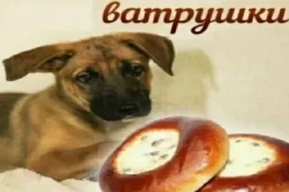 Sticker from я пидарас