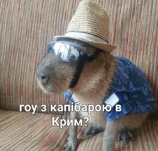 🌊 emoji Лизкины стикеры для 7Б Telegram sticker 6 of 47