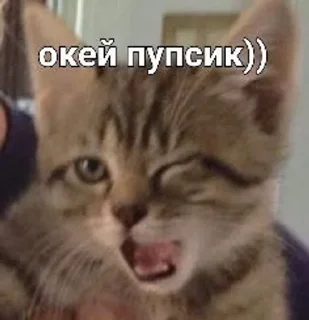 😘 emoji Лизкины стикеры для 7Б Telegram sticker 10 of 47