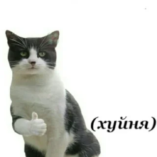 Sticker from Очко ебаное