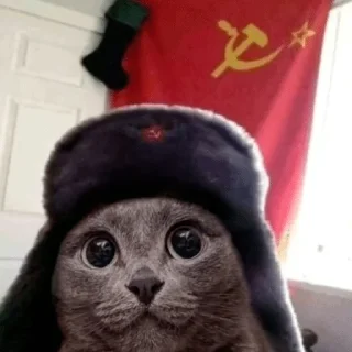 🫡 emoji шерсти Telegram sticker 24 of 104