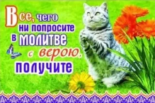 Sticker from христианские открытки