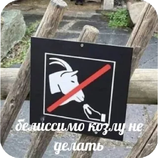 👌 emoji Диалог гениев Telegram sticker 11 of 120