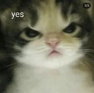 😡 emoji Котята Telegram sticker 13 of 92