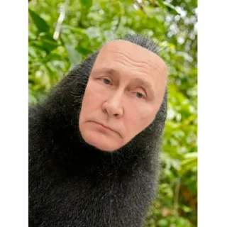Sticker from Алёна легенда 🤩
