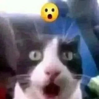 😱 emoji личные стикеры (кама)убачатозник Telegram sticker 22 of 33