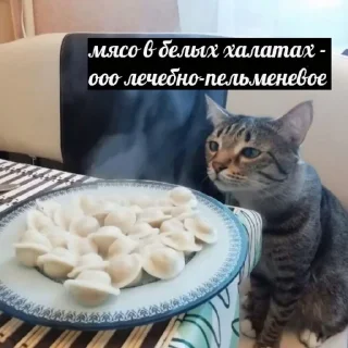 🍛 emoji Личные мемы Telegram sticker 13 of 39