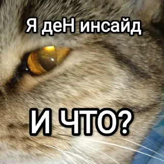 👶 emoji Это мы, и что? Telegram sticker 9 of 46