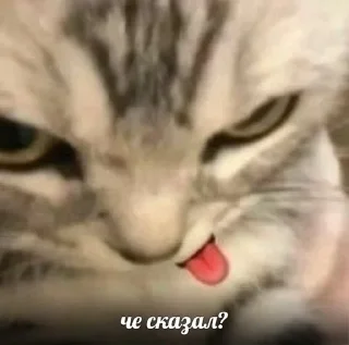 👿 emoji это будем мы! Telegram sticker 11 of 22