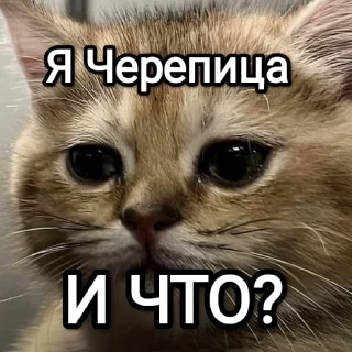 👹 emoji Это мы, и что? Telegram sticker 24 of 46