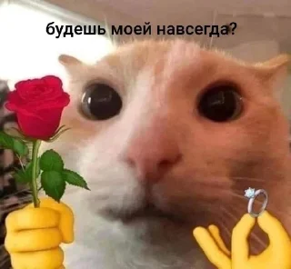 🫶 emoji это будем мы! Telegram sticker 17 of 22
