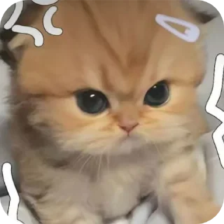 🐱 emoji Котик Telegram sticker 10 of 53