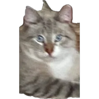 Sticker from лелик