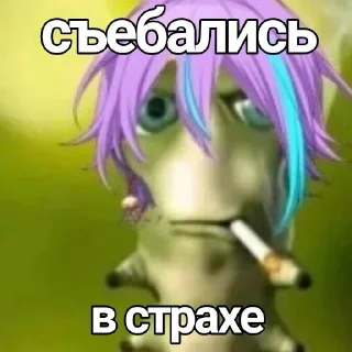 🔫 emoji РУИ МЛАДШИЙ ААААА🚨 Telegram sticker 3 of 12