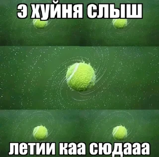 🌟 emoji Поел опиши утки Лондон😳 Telegram sticker 22 of 120