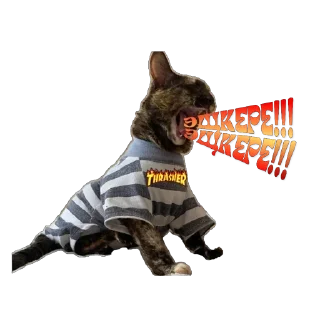🔥 emoji масяндра для выебонов Telegram sticker 20 of 27