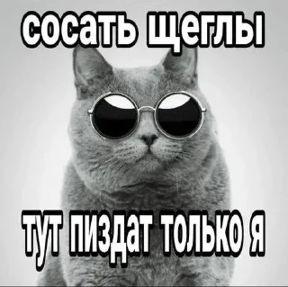 Sticker from нам пиздец