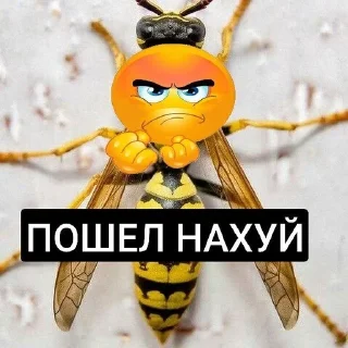 Sticker from ОСЫ ТОП