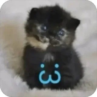 Sticker from шешес