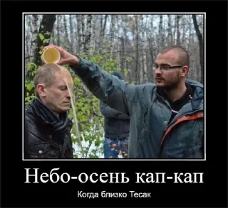 🤙 emoji ГОООЛ Telegram sticker 16 of 51