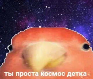 🥰 emoji Шуня Telegram sticker 19 of 40