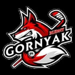 Sticker from Jas Hockey Ligasy