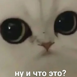 😐 emoji Можлочок Потiк Telegram sticker 10 of 35