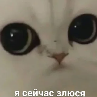 Можлочок Потiк sticker preview 3